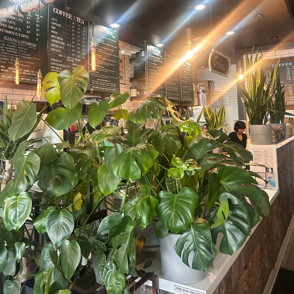 Meet your Posher, Demetri